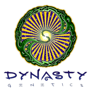 Dynasty Genetics
