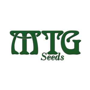 MTG SEEDS