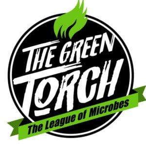 The Green Torch
